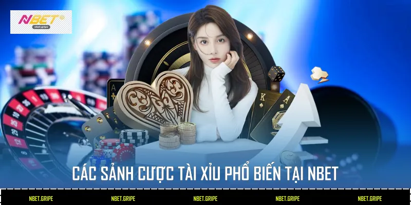 Tài xỉu Nbet - Chiến Thuật Soi Cầu Thắng Lớn Mỗi Ngày 2 Các sảnh cược Tài xỉu phổ biến tại Nbet