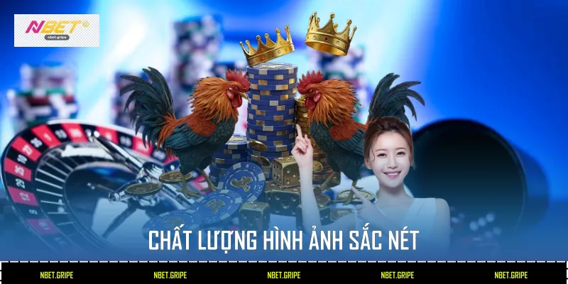 Trực Tiếp Xem Đá Gà Nbet 2026 Trải Nghiệm Hấp Dẫn Vô Tận 2 Chất lượng hình ảnh sắc nét