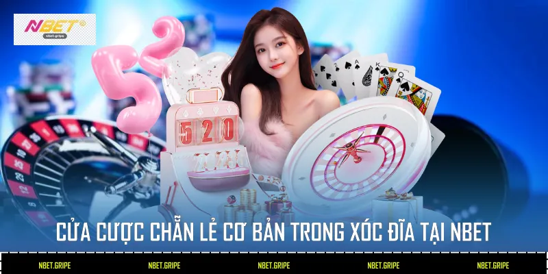 Xóc Đĩa - Bí Kíp Soi Cầu Bách Chiến Bách Thắng 2026 Tại Nbet 2 Cửa cược Chẵn Lẻ cơ bản trong xóc đĩa tại Nbet