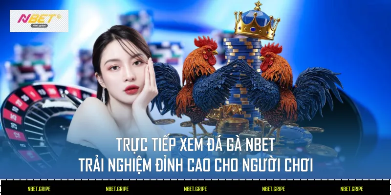 Trực Tiếp Xem Đá Gà Nbet 2026 Trải Nghiệm Hấp Dẫn Vô Tận 1 Trực tiếp xem đá gà